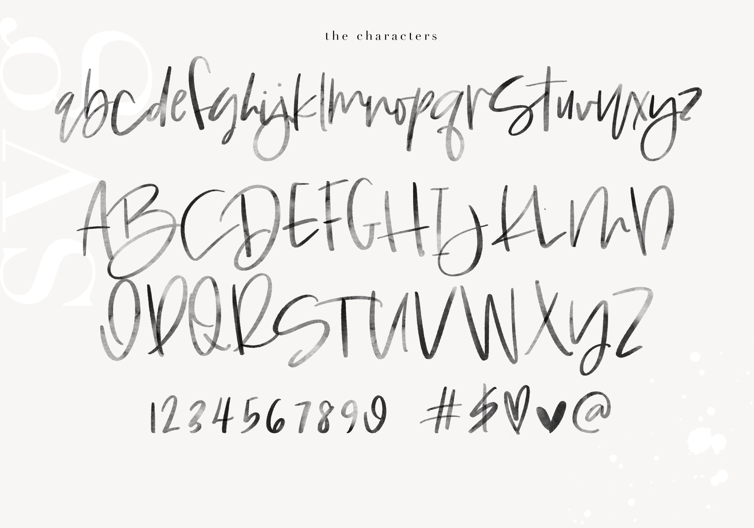 Washington A Handwritten Script Font Svg Solid By Ka Designs Thehungryjpeg Com