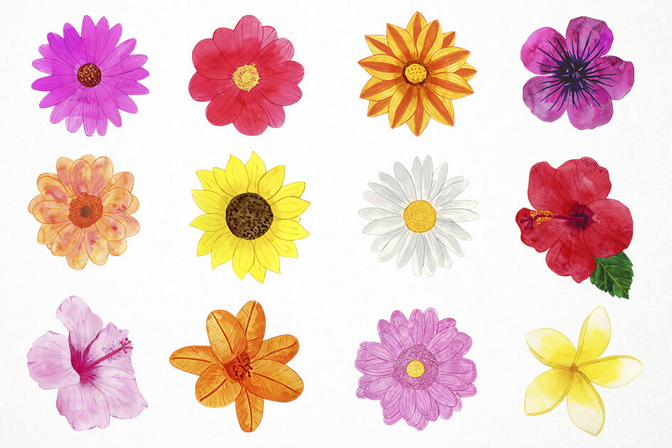 Watercolor Spring Flowers Clipart, Spring Flowers Clip Art ...