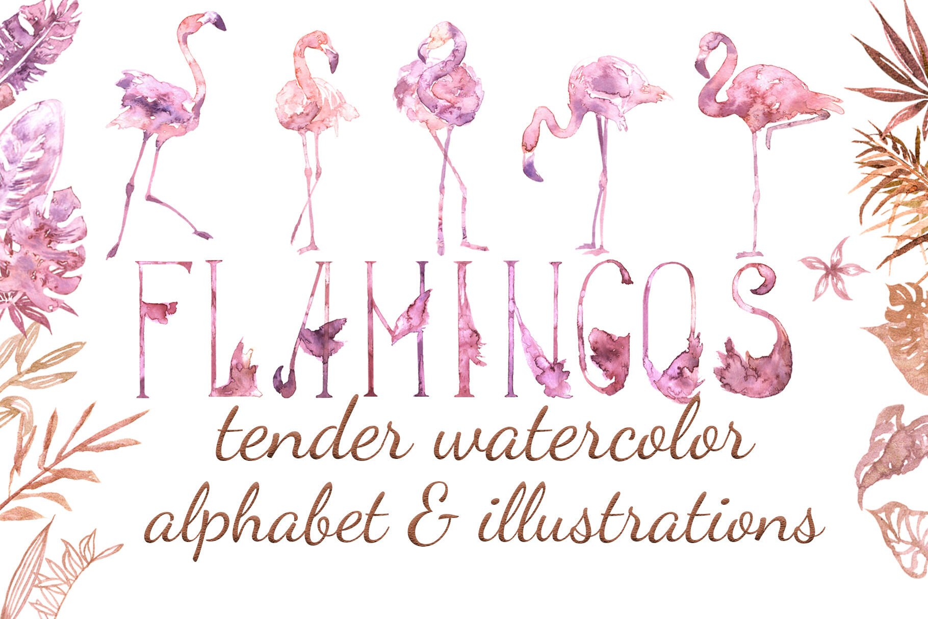 Tender Flamingo Watercolor Alphabet By Cat In Colour Thehungryjpeg Com