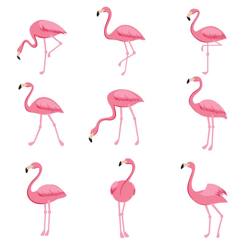 Cartoon pink flamingo vector set. Cute flamingos collection By ...