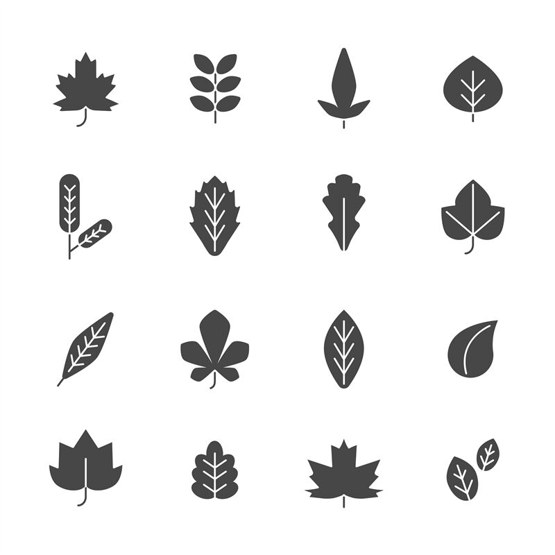 Black leaves. Vector symbols of autumn plants By ONYX | TheHungryJPEG