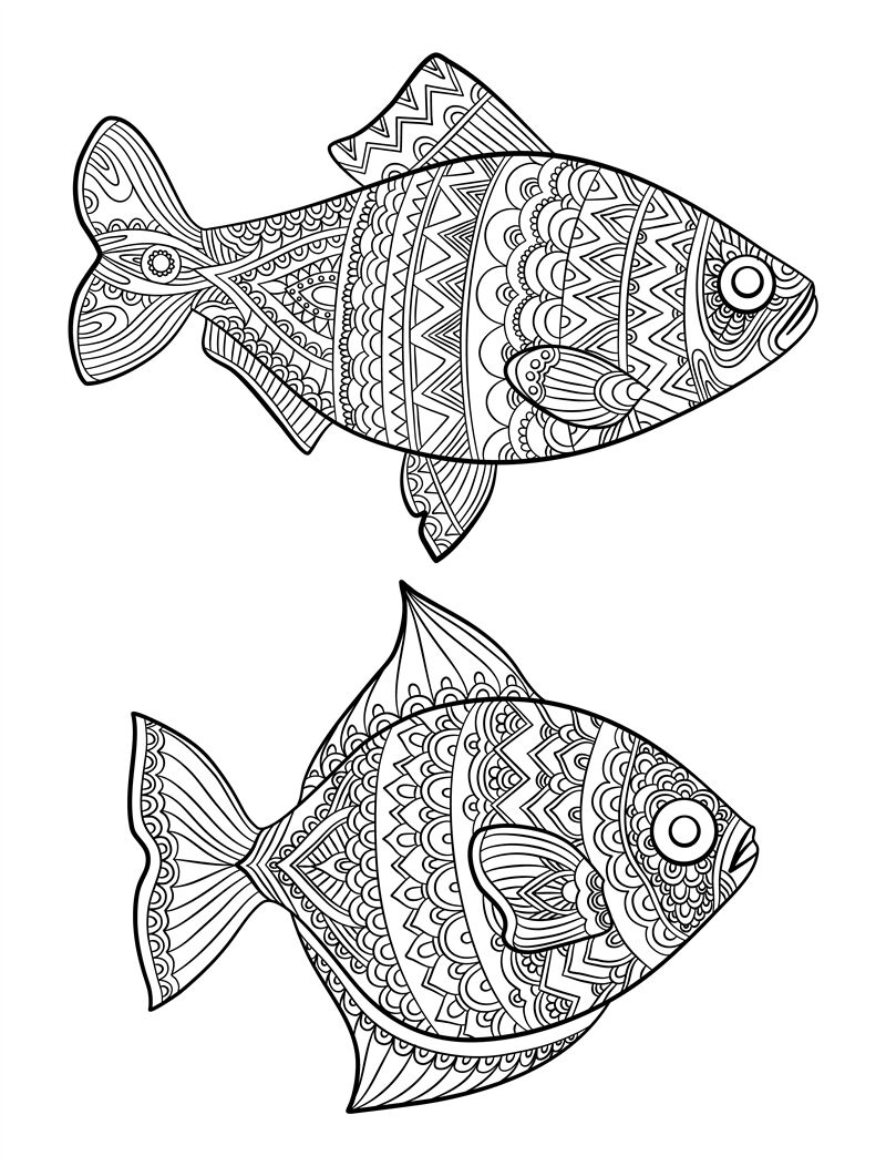 Fish coloring pages. Fashion drawing ocean animals drawings for adults By  ONYX | TheHungryJPEG