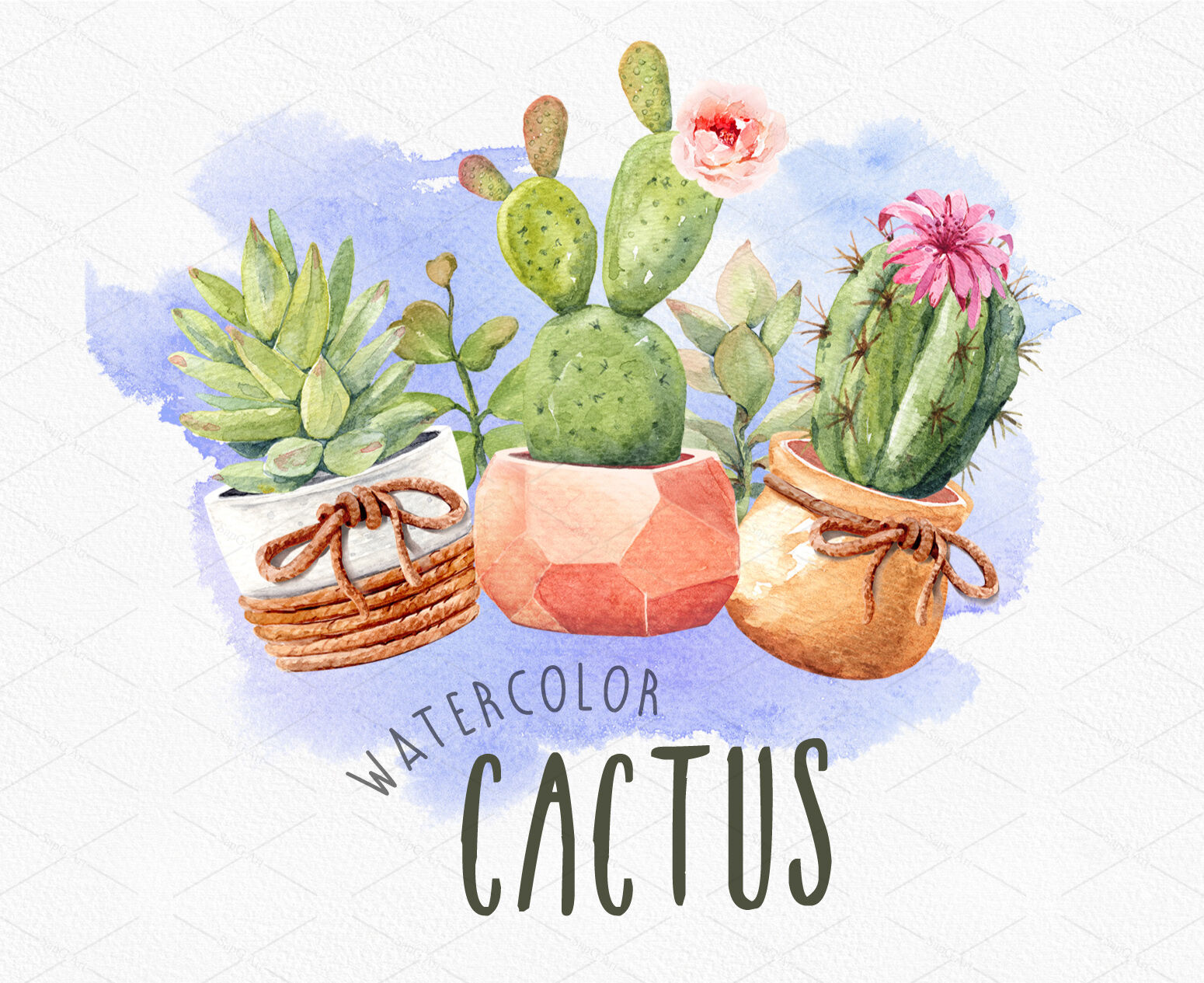 Кошелек Cactus Watercolor