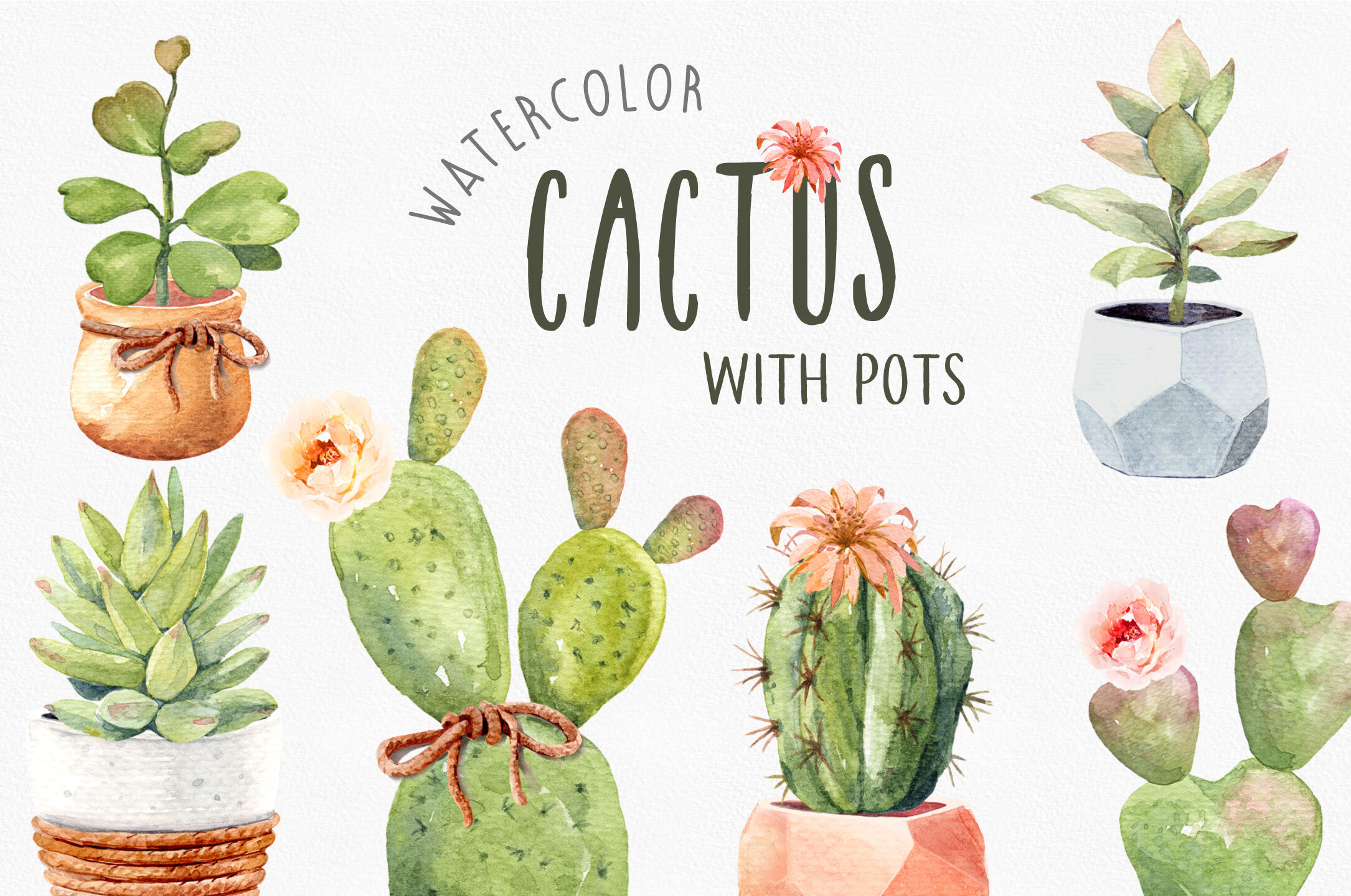 Download Cacti Watercolor Cactus Watercolor Succulent Clipart By Sapg Art Thehungryjpeg Com