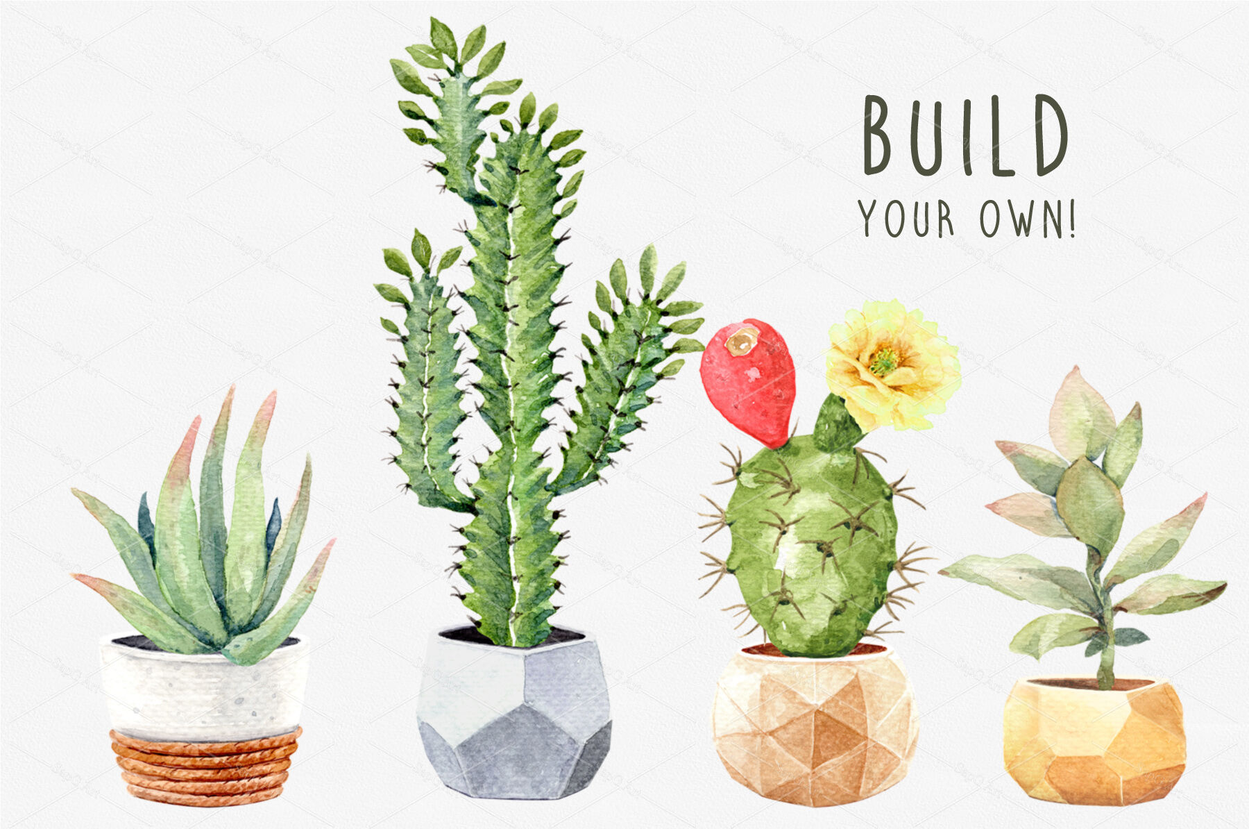 Free Commercial Use PNG transparent background Watercolor clipart Cacti