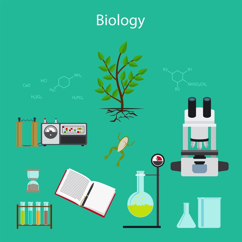 Biology research cartoon illustration By SmartStartStocker | TheHungryJPEG