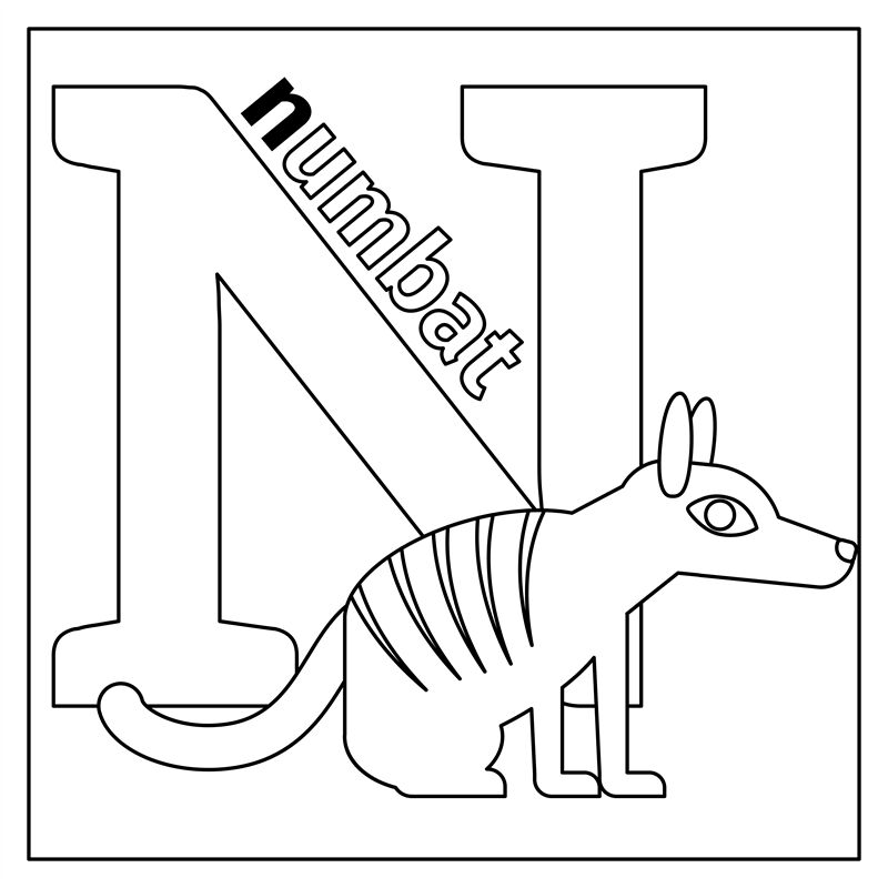 Numbat Letter N Coloring Page By Smartstartstocker Thehungryjpeg Com