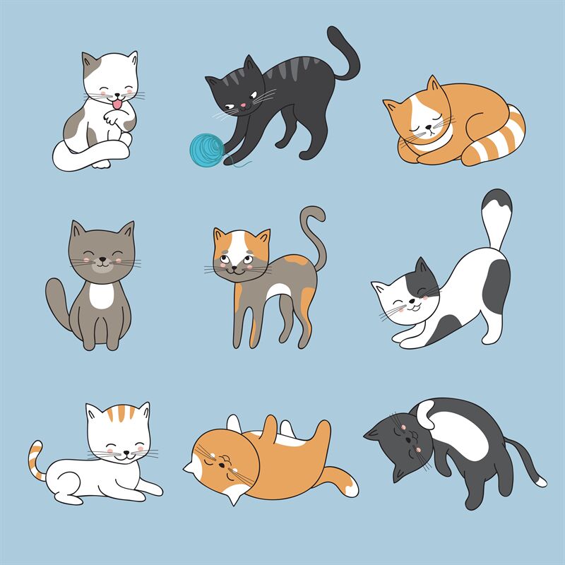 Cute cats collection, vector icons, hand drawn illustrations