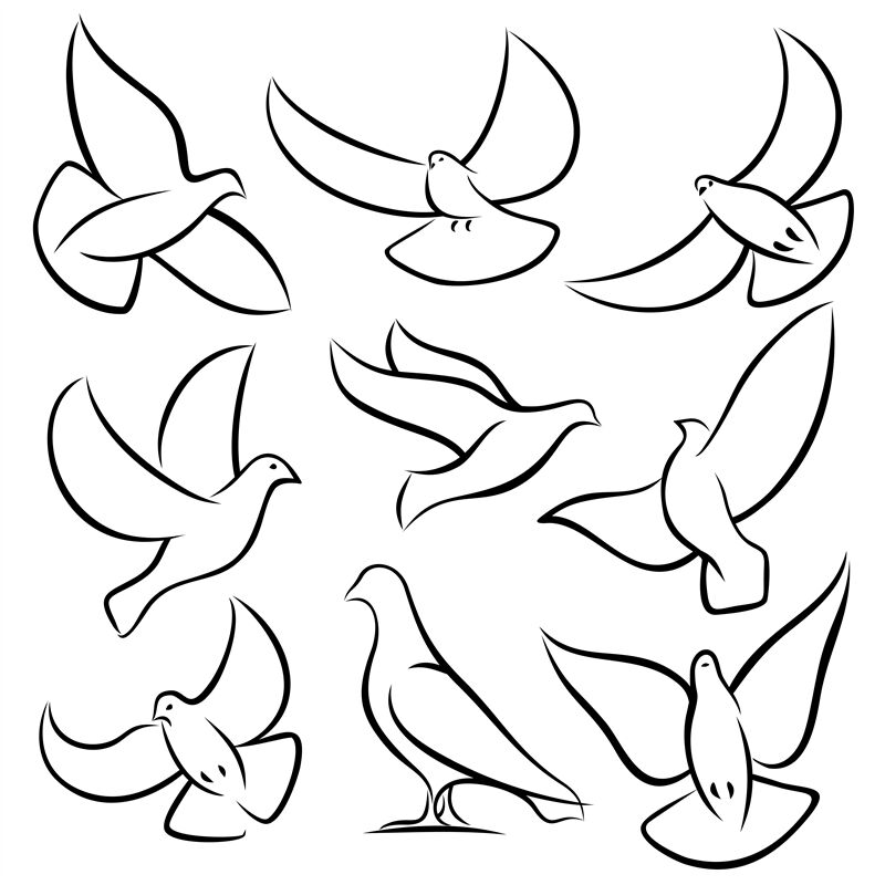 dove bird outline