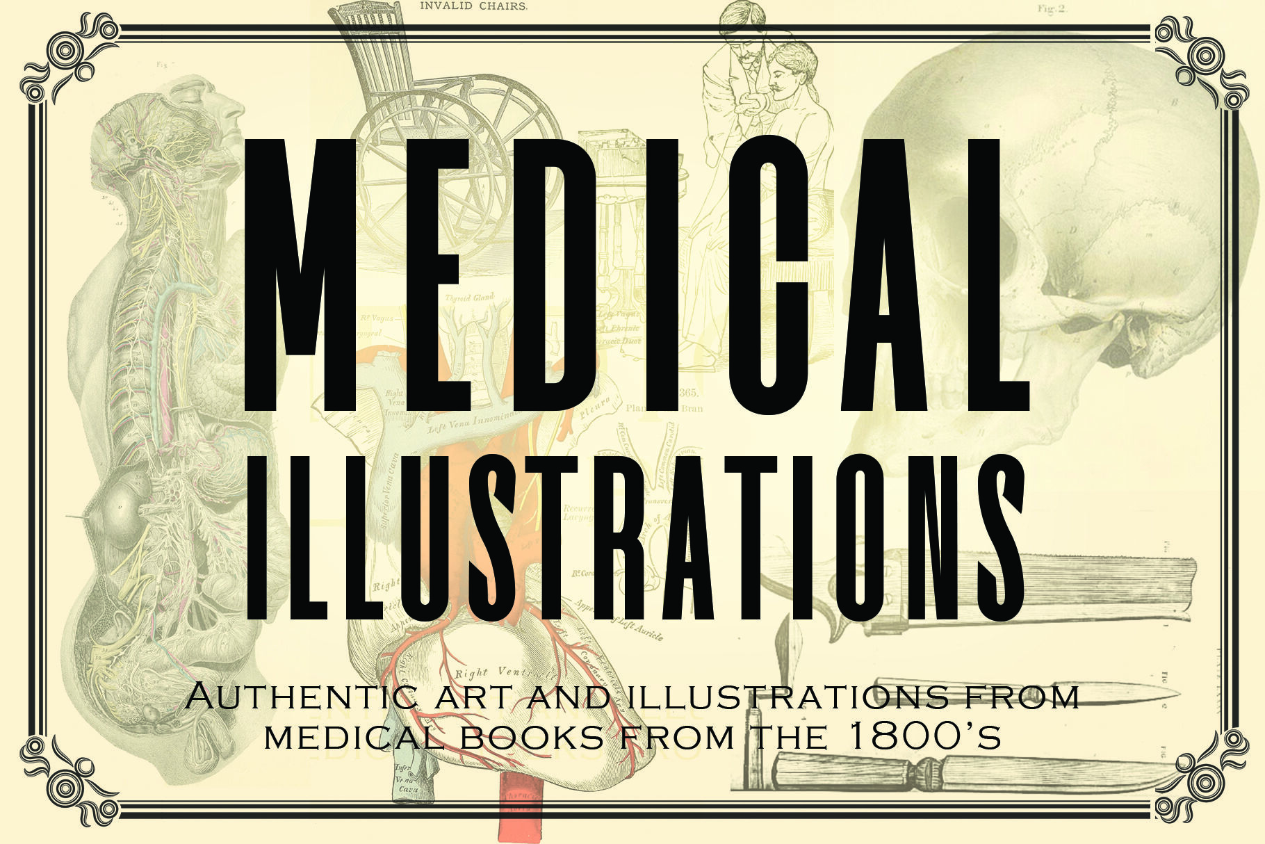 free download vintage medical illustrations
