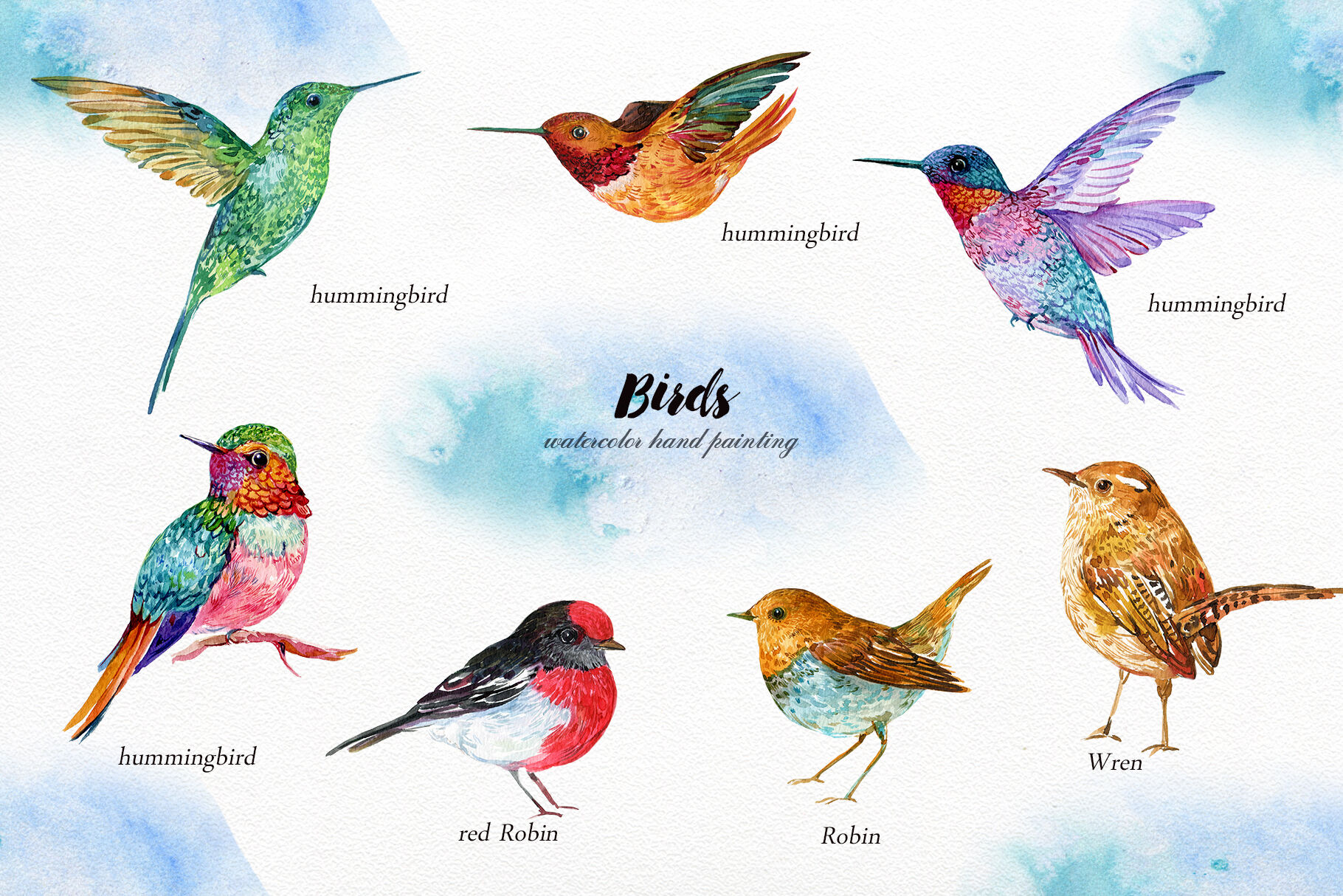 Collection Birds Clipart 30 Watercolor Birds By World Illustrations