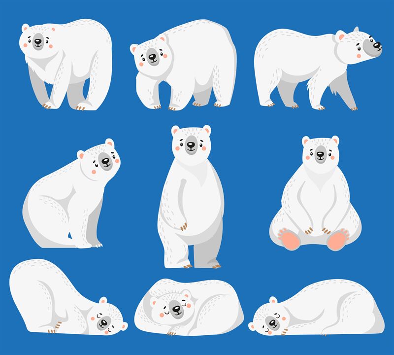 Cartoon polar bear. White bears, arctic wild animal and snow bear isol By  Tartila | TheHungryJPEG