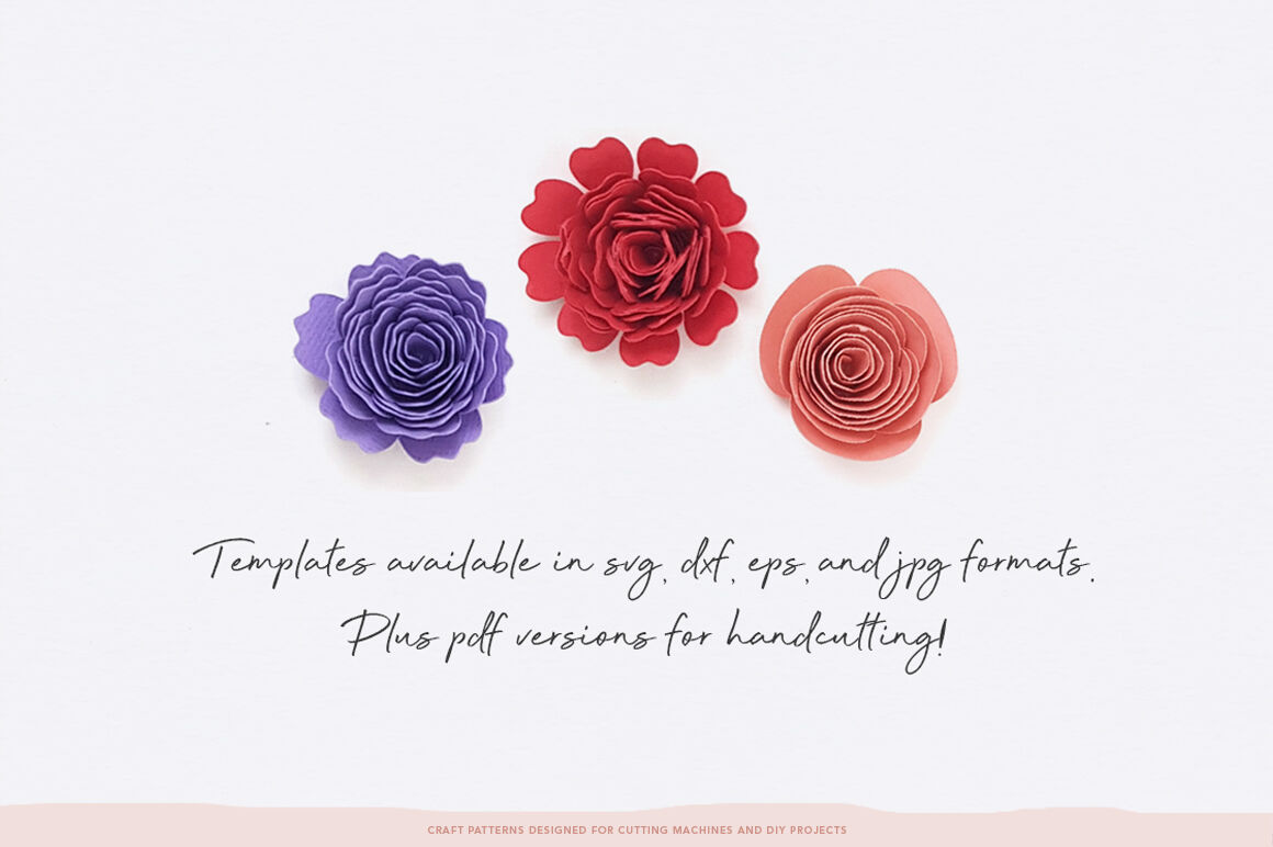 Rolled Flower Templates 3d Flowers Svg Dxf Eps Jpeg Pdf By Folktale Co Thehungryjpeg Com