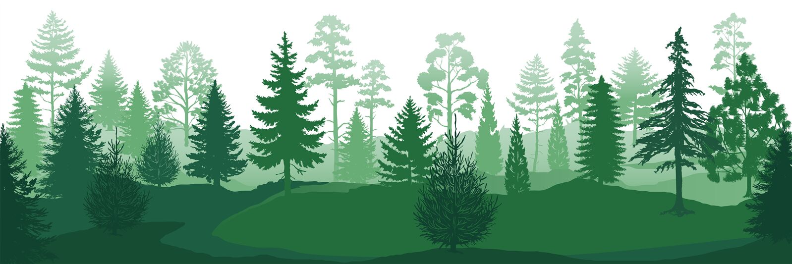 Forest Silhouettes Wild Nature Wood Backgrounds Green Pine Trees Fir By Spicytruffel Thehungryjpeg Com