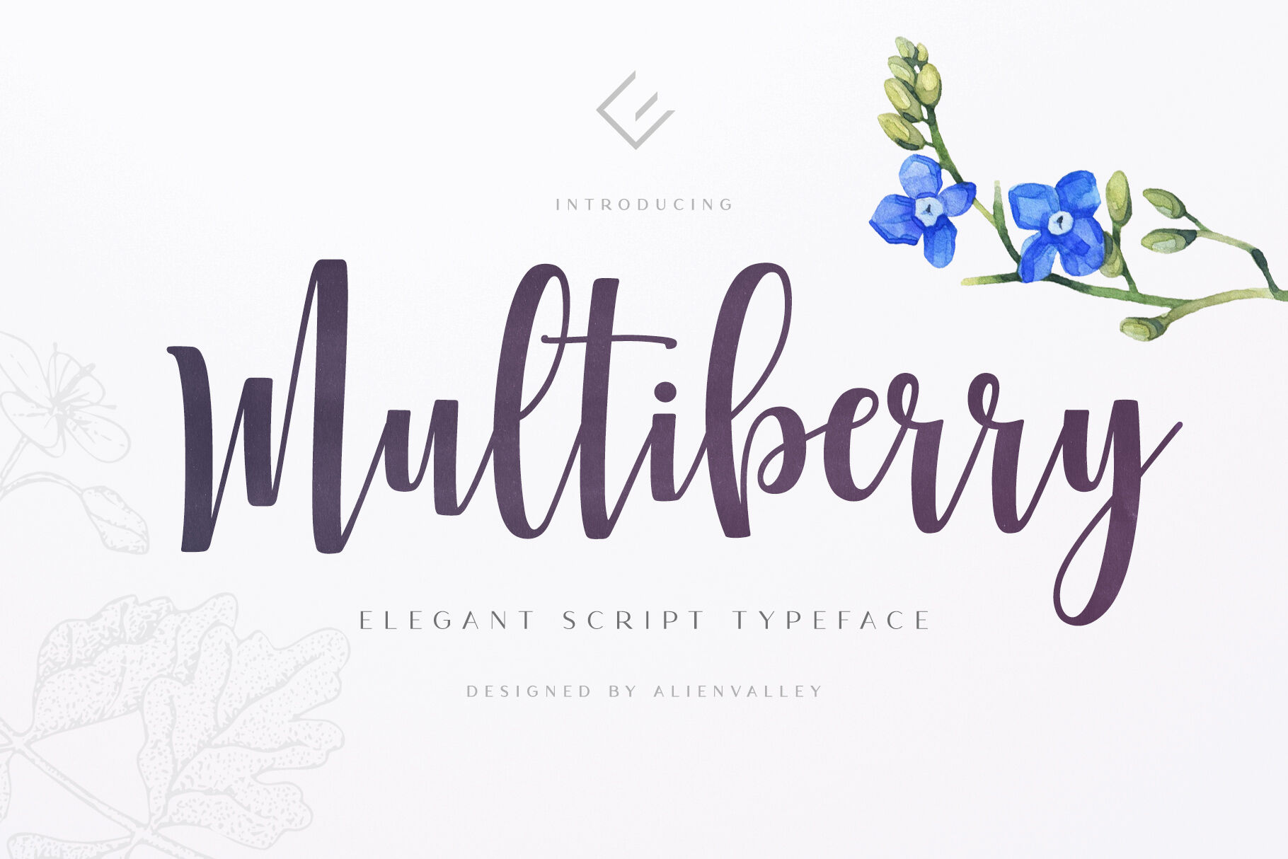 Multiberry Script Font By Alienvalley Thehungryjpeg Com