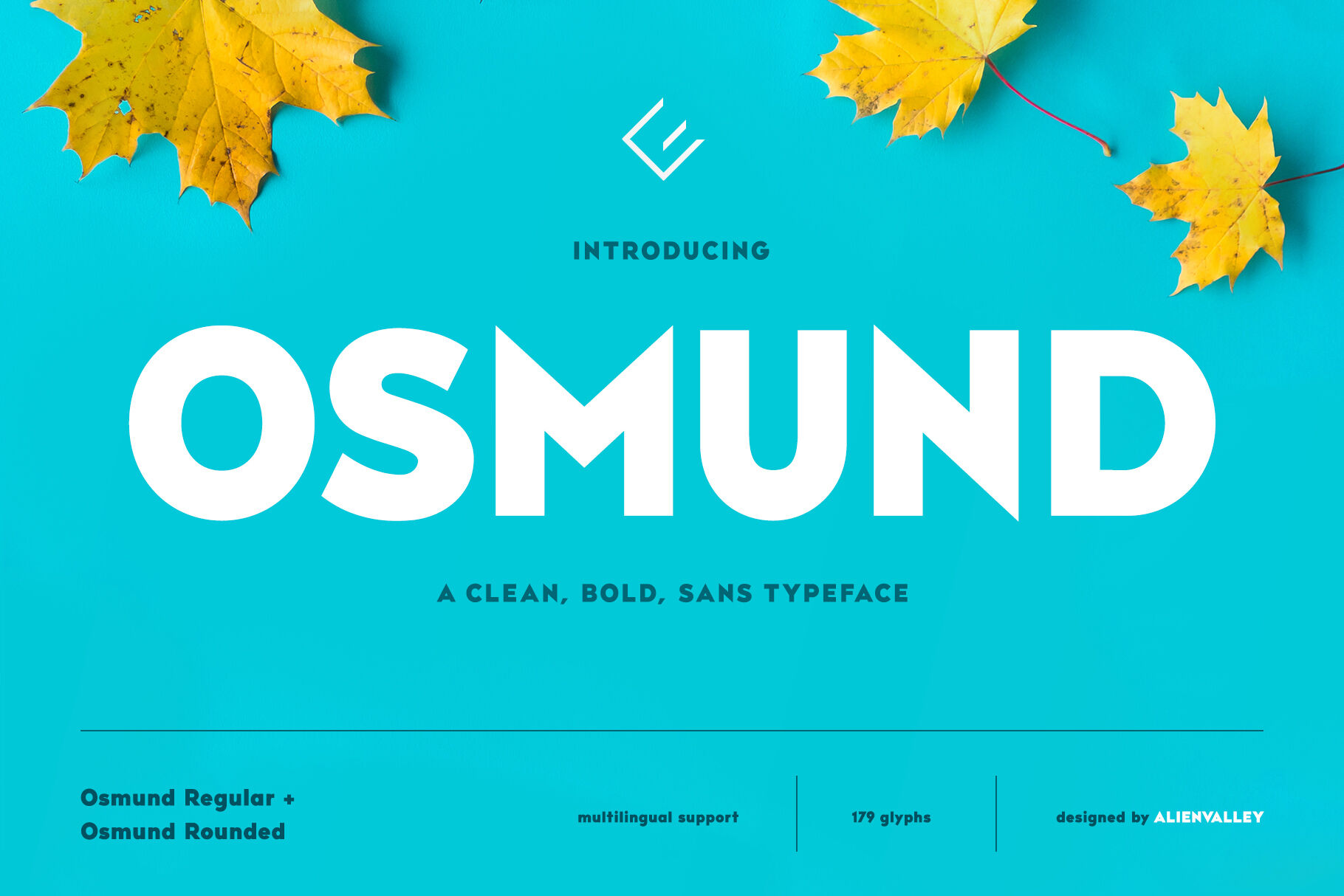 Osmund - Bold Sans Serif By Alienvalley | Thehungryjpeg