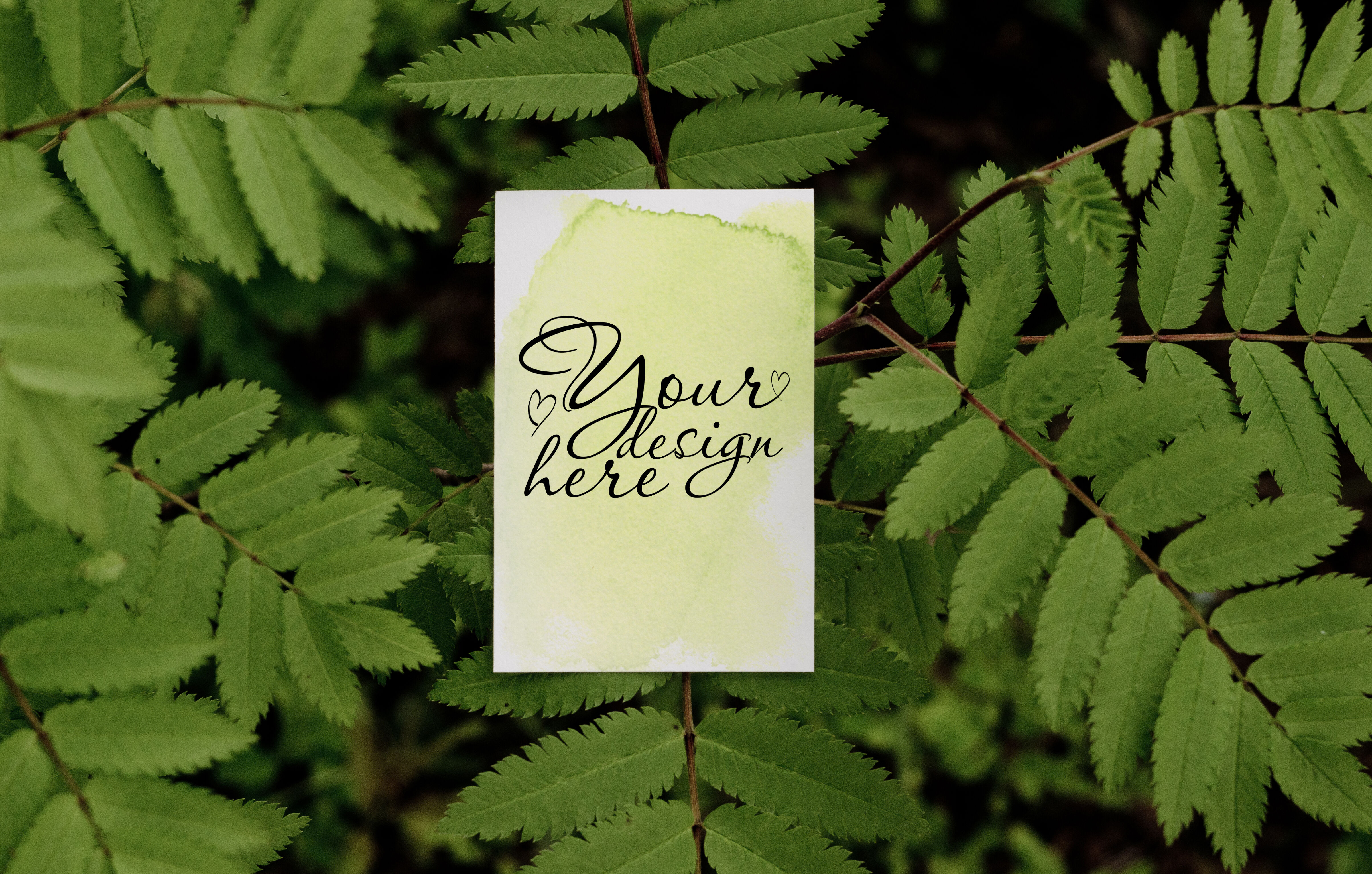 Download Summer bussines card mockup on tree By NataAr | TheHungryJPEG.com