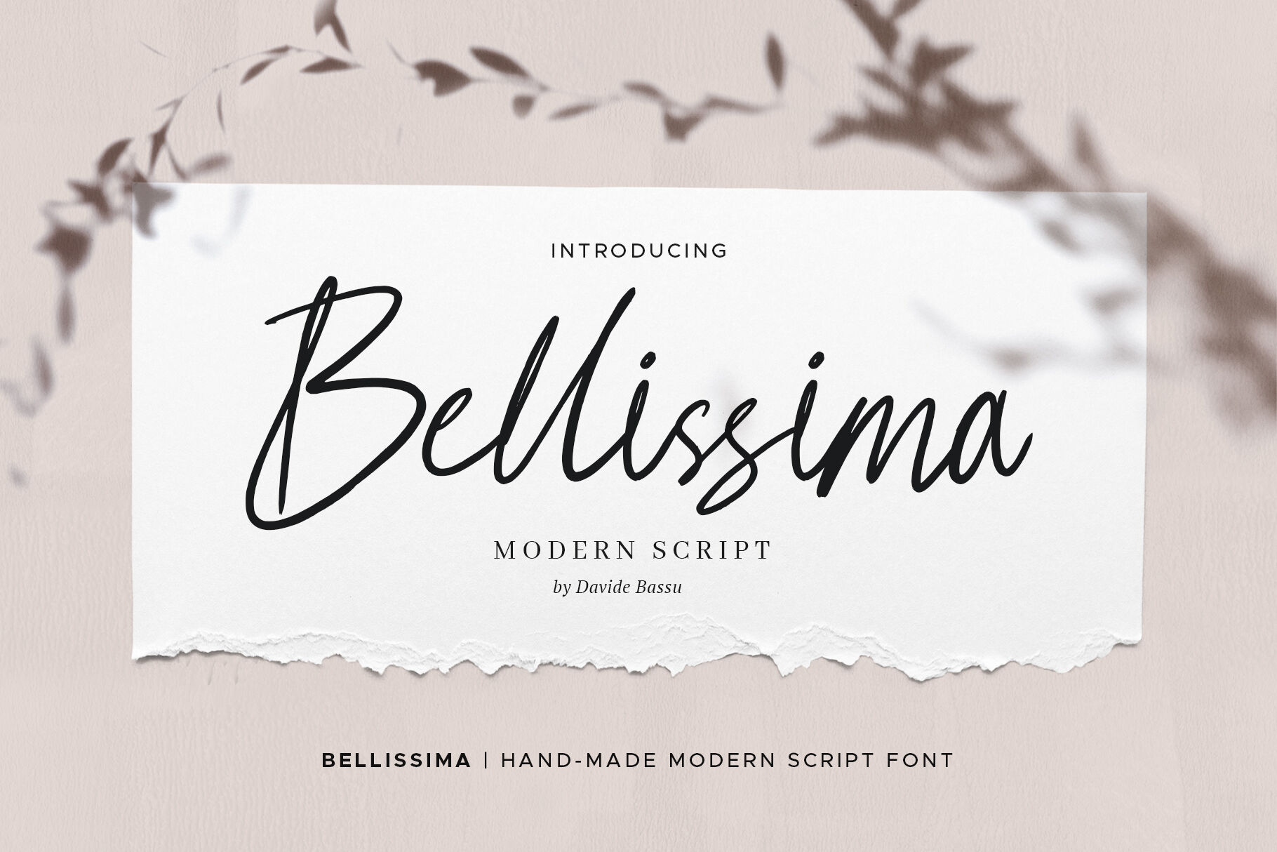 Bellissima Messy Modern Script By Davide Bassu Thehungryjpeg Com