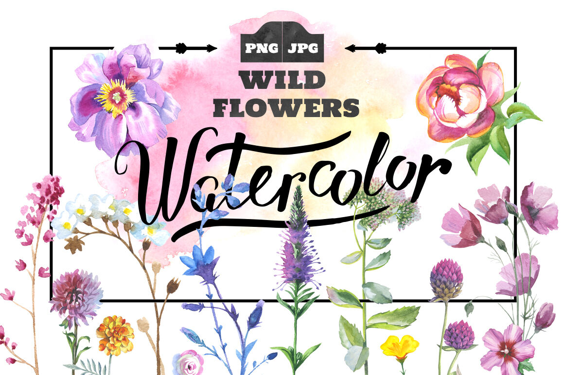 Wild Flowers Watercolor Set Hand