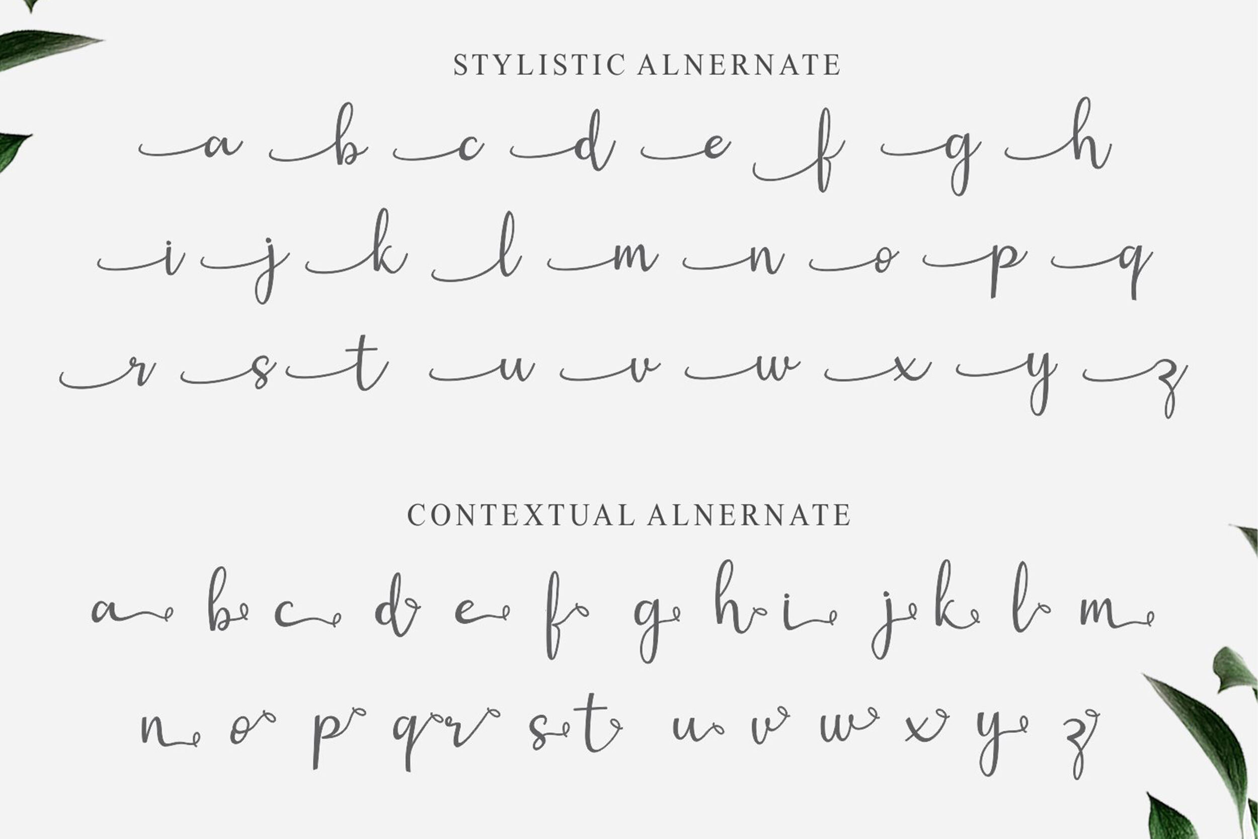 Gisella A Script Handwritten Font By Girinesia Thehungryjpeg Com