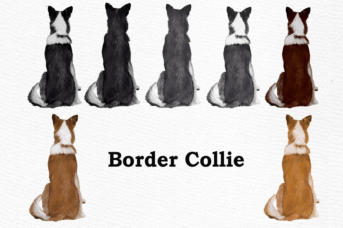 Download Dogs Clipart,Dog breeds Pet clipart,Watercolor dogs ...