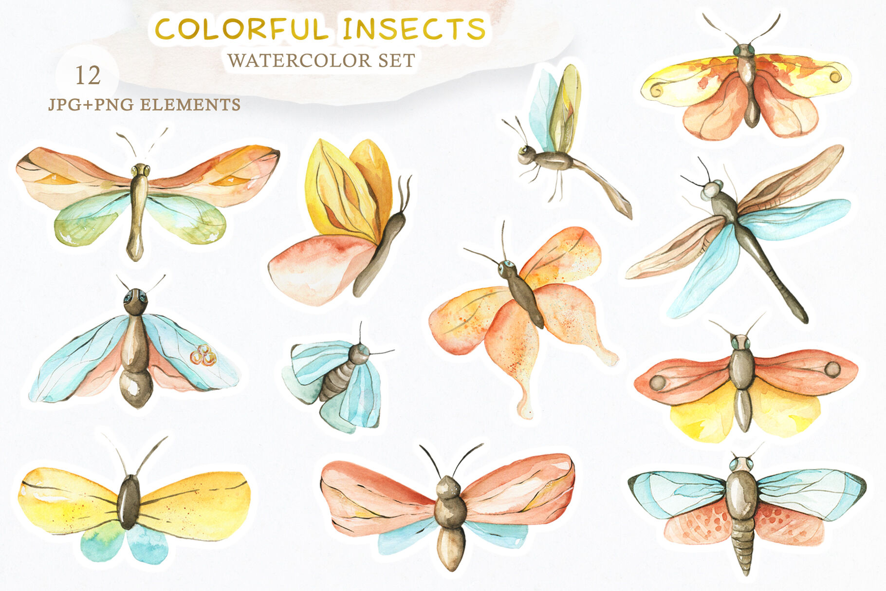 Download Watercolor Set Colorful Insects By Artmaslyanaya Thehungryjpeg Com