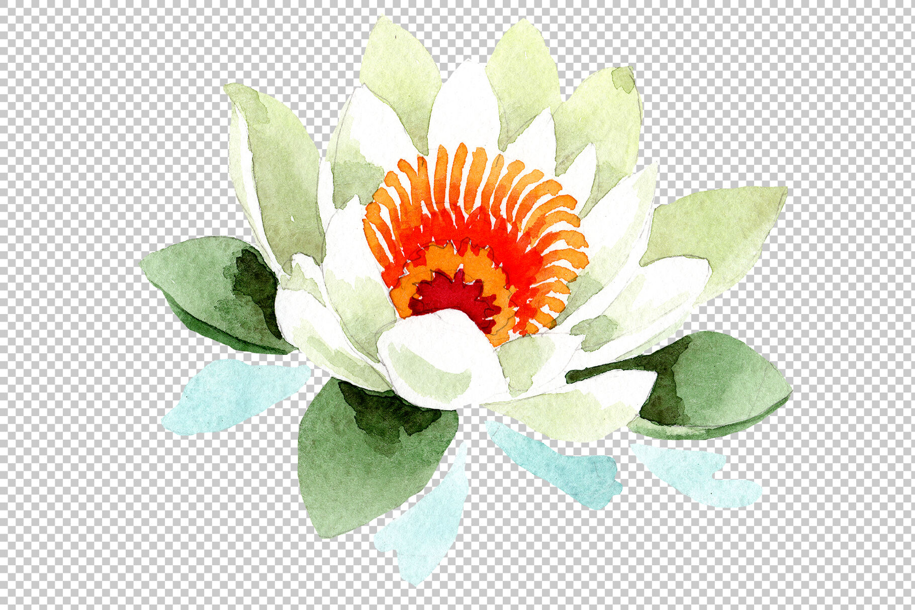 White Lotus Flower Watercolor Png By Mystocks Thehungryjpeg Com