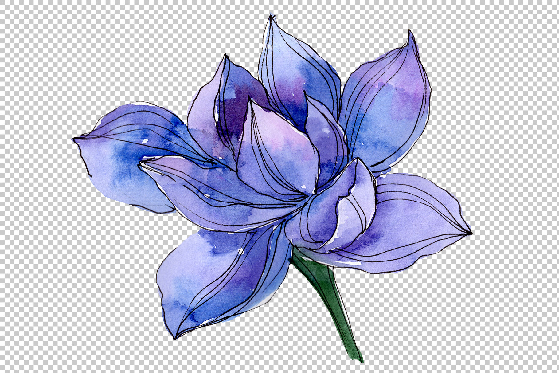 Blue watercolor lotus flower png By MyStocks | TheHungryJPEG.com