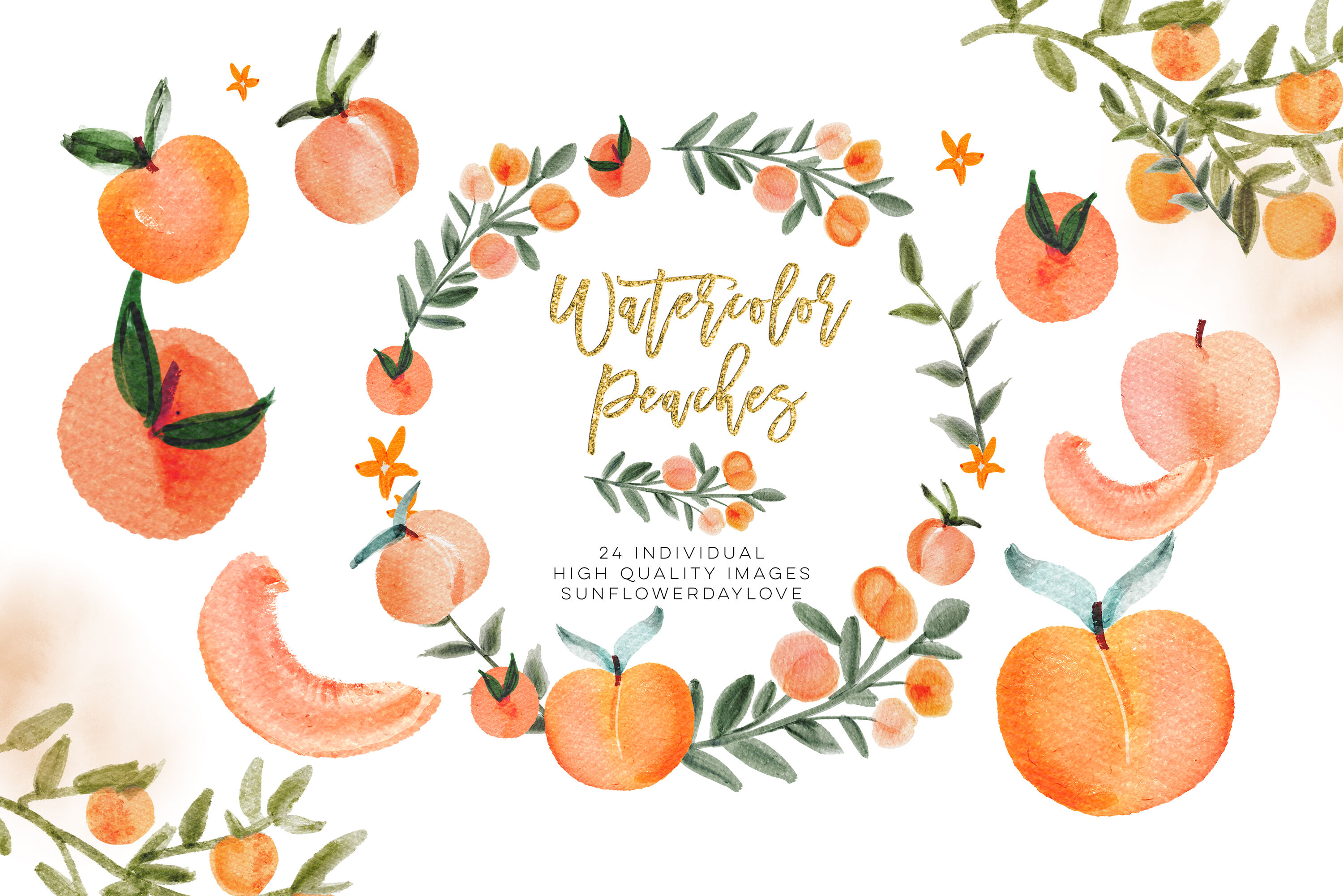 Watercolor Peach Clip Art Peach Leaves Clipart By Sunflower Day Love Thehungryjpeg 7468