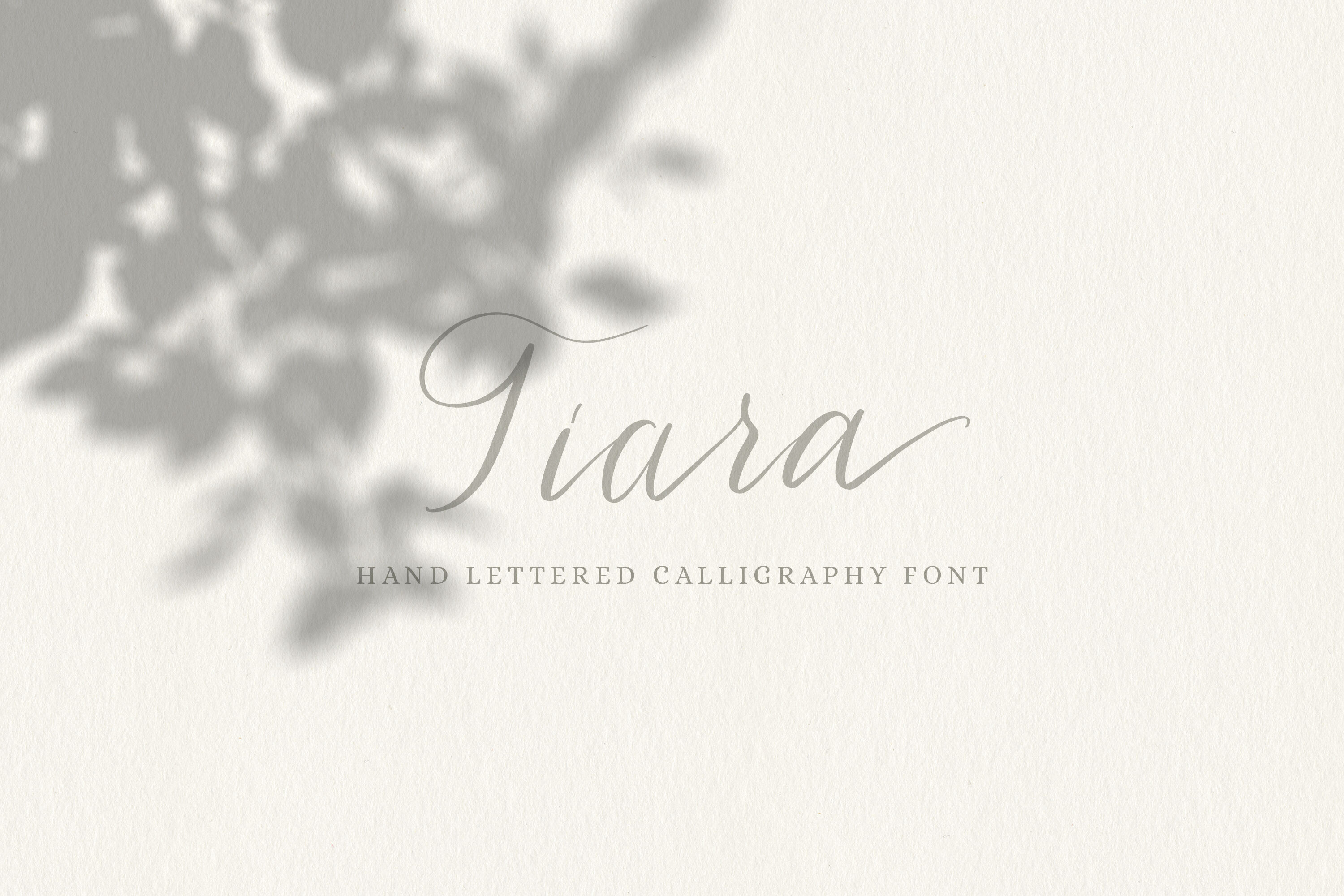 Tiara Modern Calligraphy Script By Taningreen Thehungryjpeg Com