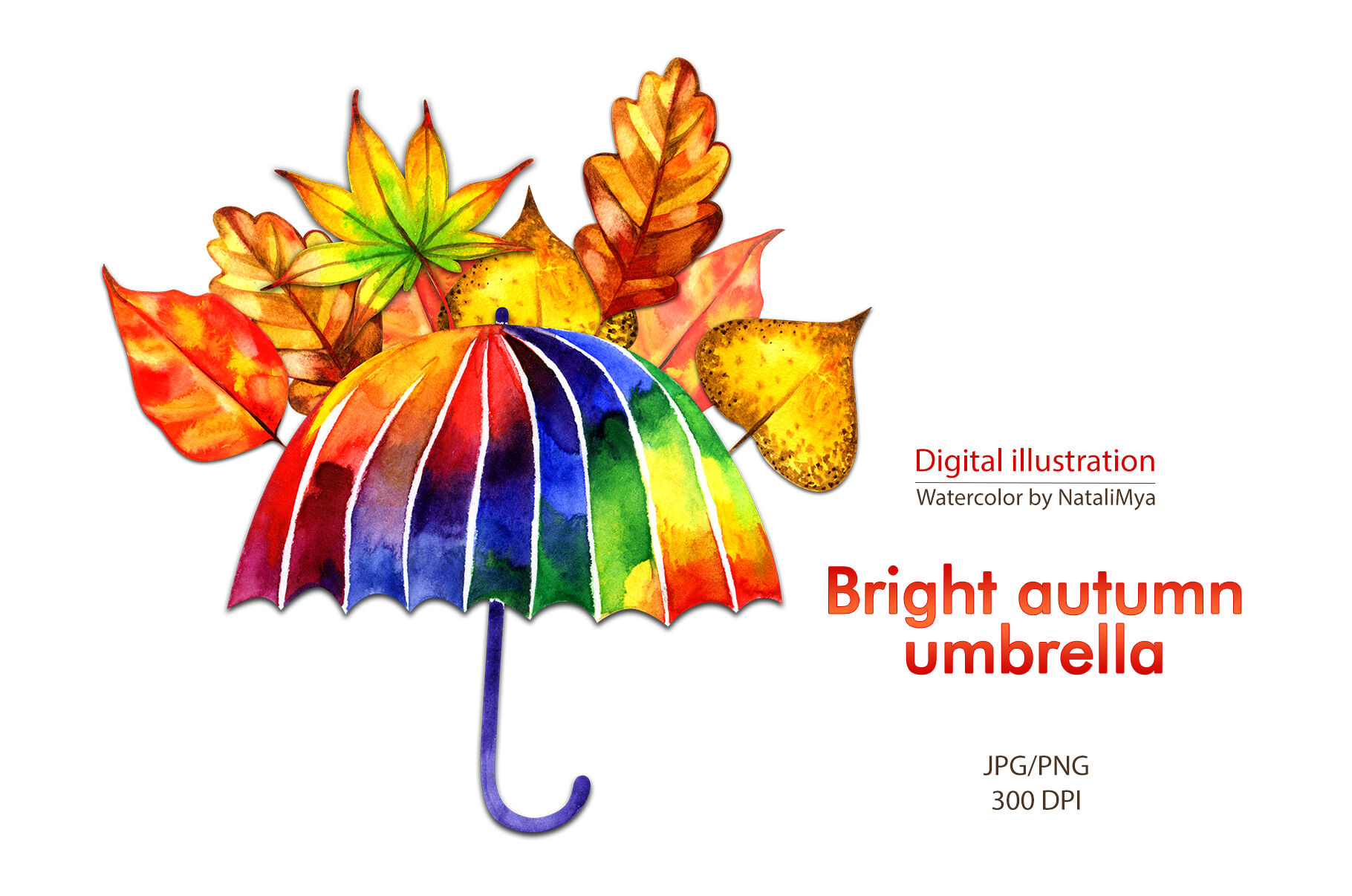 Watercolor Rainbow Umbrella By Aquarelloaquarelle Thehungryjpeg Com