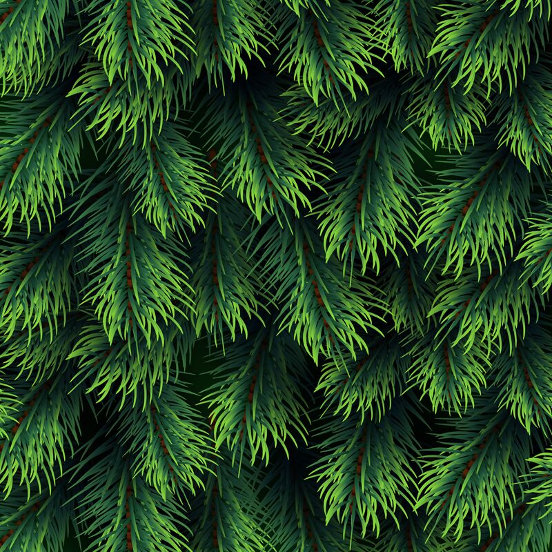 Fir tree branches pattern. Christmas background with green pine branch By  Microvector