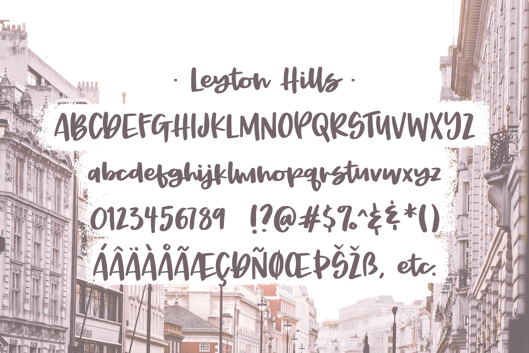 Leyton Hills A Heavy Script Font By Rachel White Art Thehungryjpeg Com