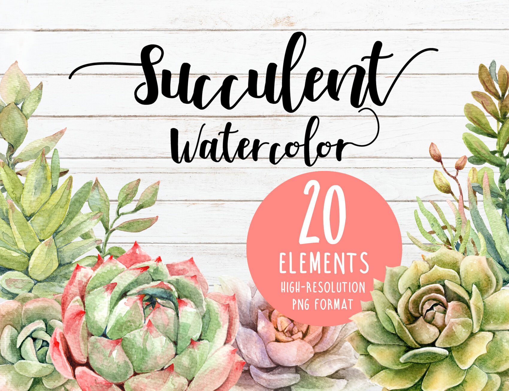 Watercolor succulent, cactus, cacti clipart individual element By SapG ...