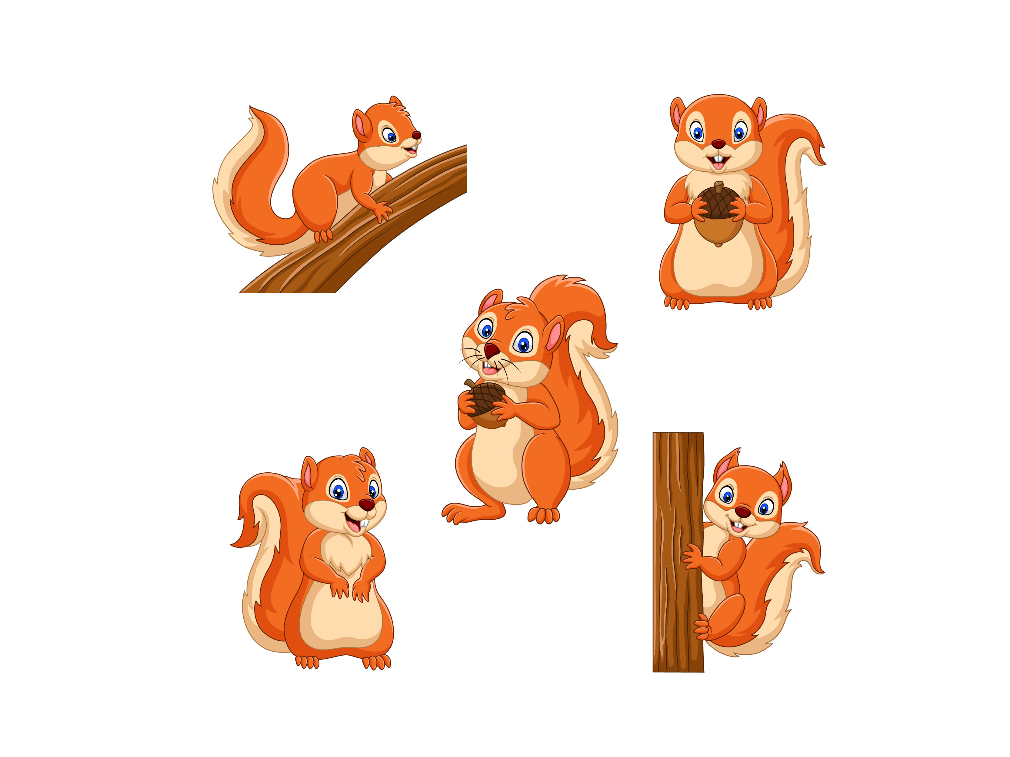 Cartoon squirrels collection By tigatelu | TheHungryJPEG