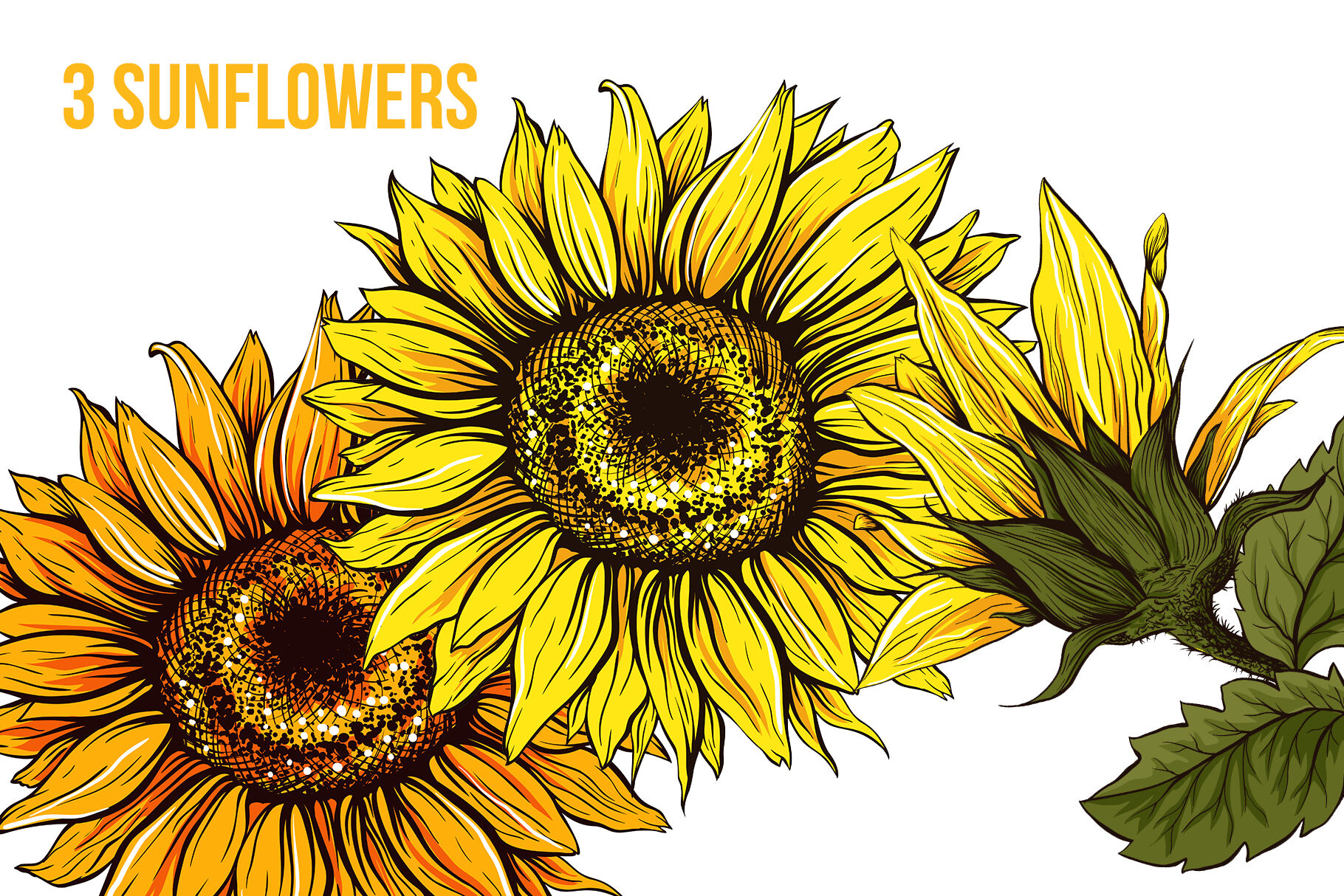Download Sunflower Sublimation Design And Svg For Thanksgiving By Ilonitta Thehungryjpeg Com