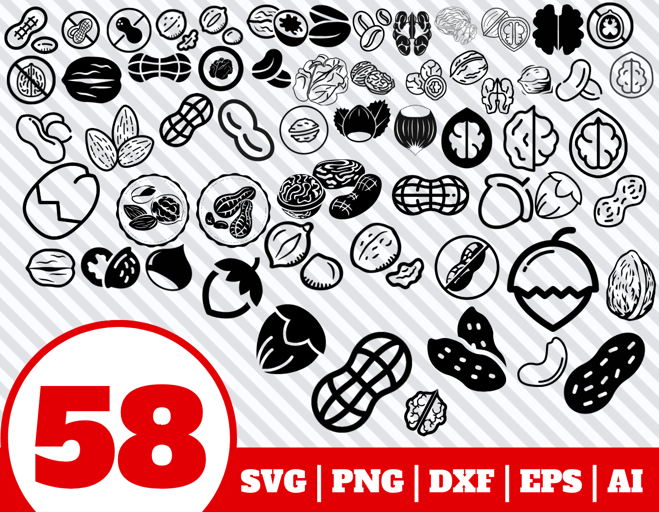 58 NUT SVG BUNDLE - nut clipart - nut vector - nut cricut - nuts By