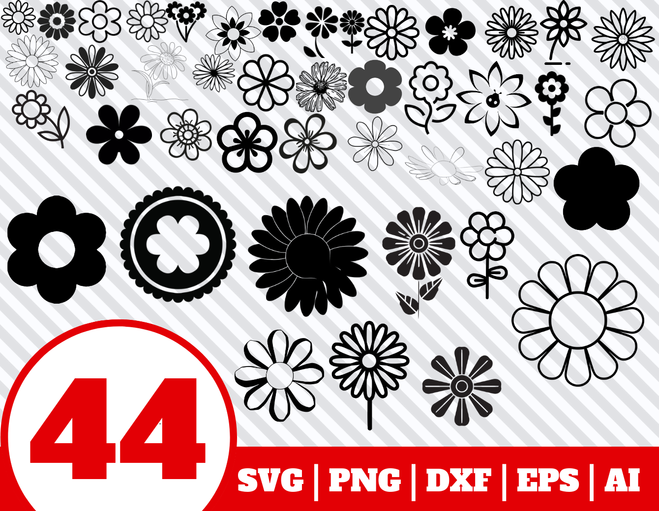 Download Free Awesome Svg Animation For Your Inspiration Daisy Flower Svg Free