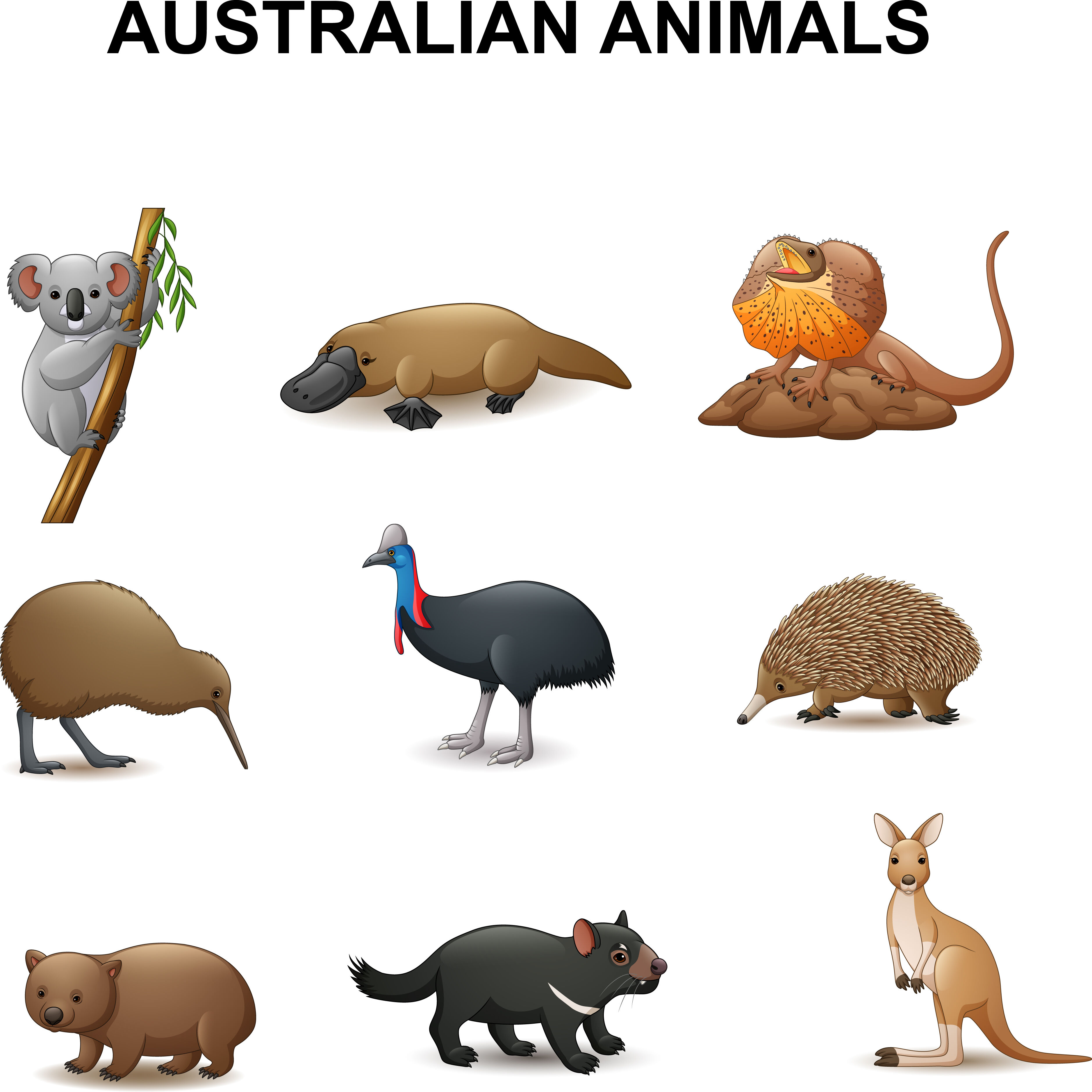 udslæt spild væk grådig Australian Animals Collection By tigatelu | TheHungryJPEG.com