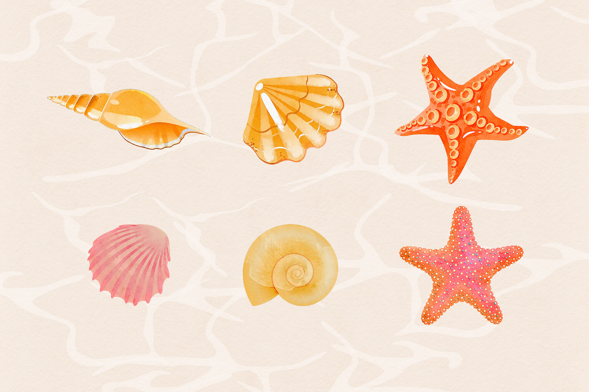 watercolor-shells-clipart-by-north-sea-studio-thehungryjpeg