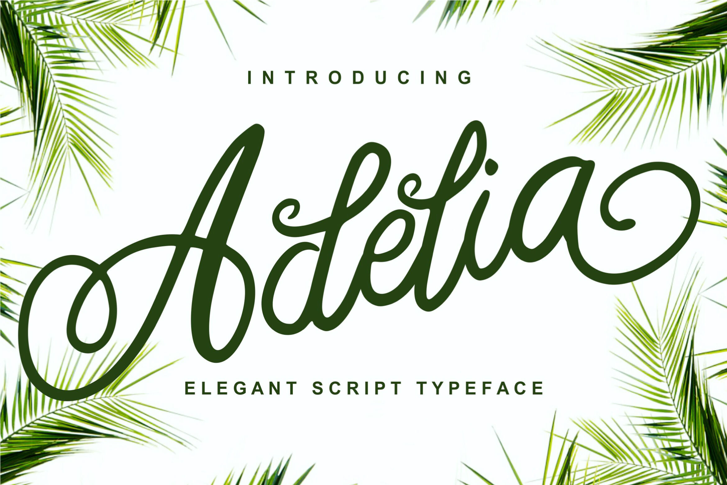 Adelia Elegant Script Typeface By Ianmikraz Studio Thehungryjpeg Com
