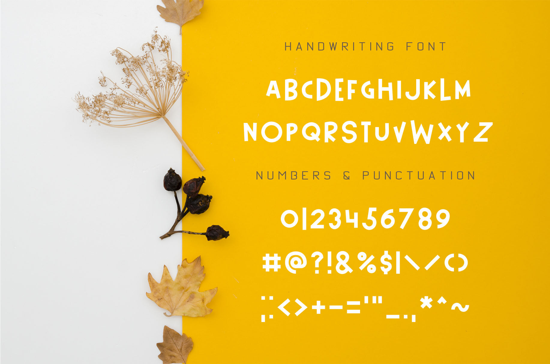 Pumpkin Font And Autumn Pack By Nadezda Gudeleva Thehungryjpeg Com