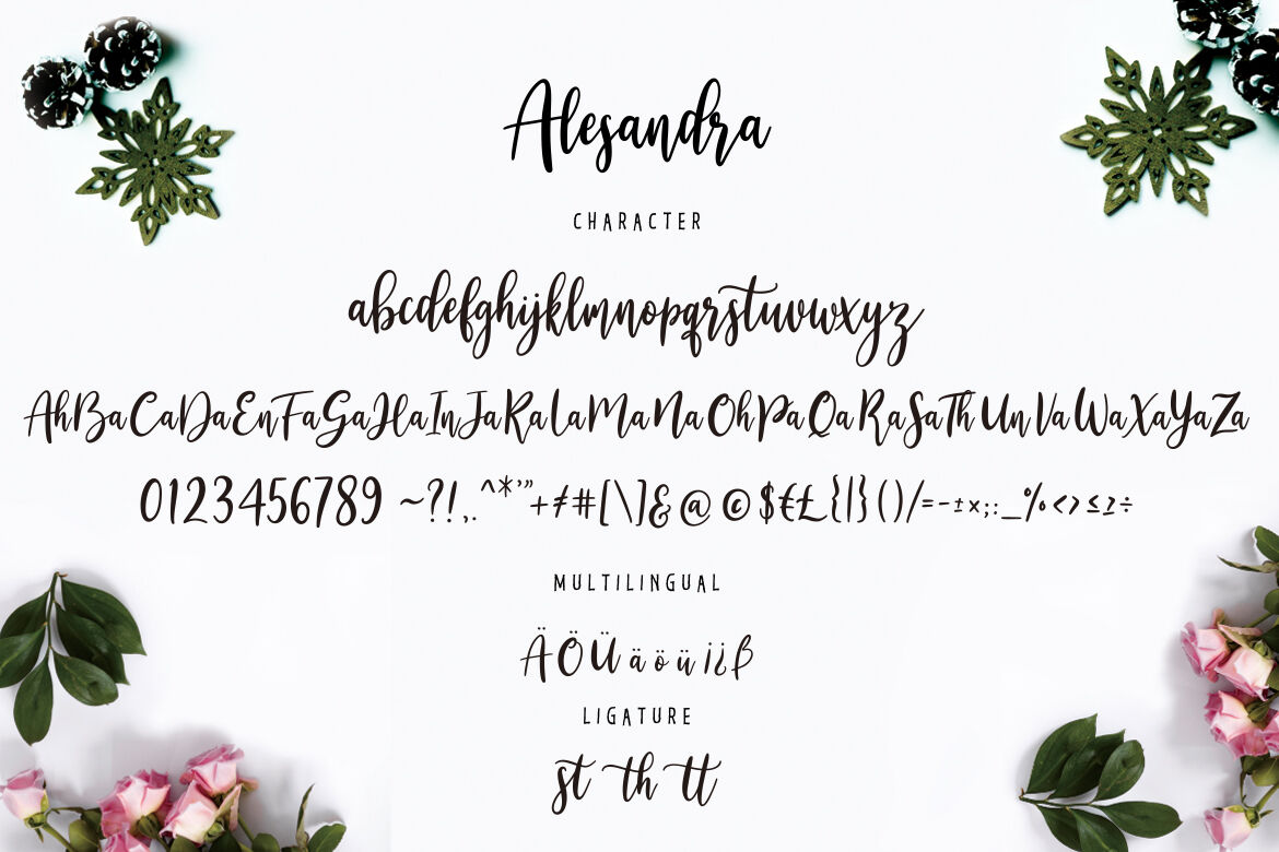 Alesandra Modern Calligraphy By Creatype Studio Thehungryjpeg Com