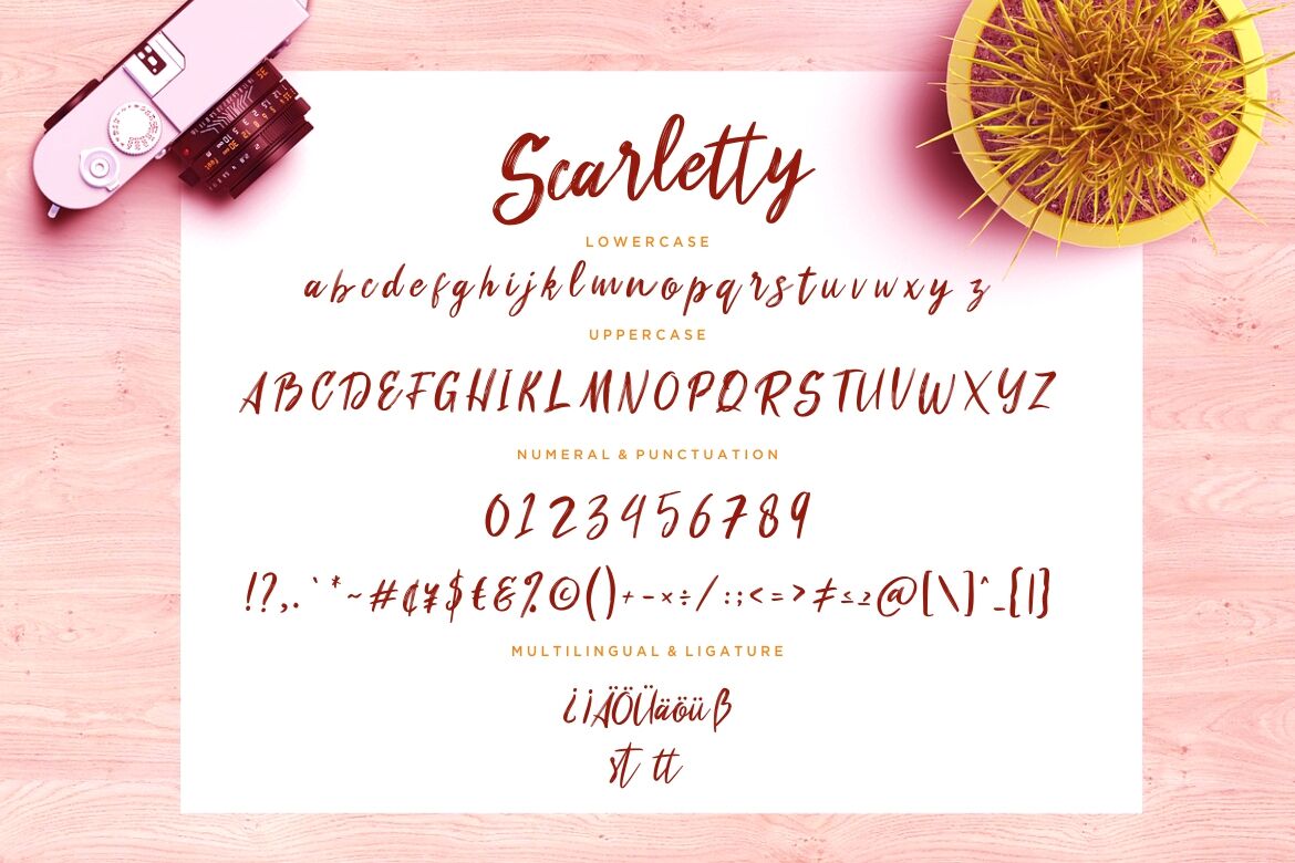Calligraphy for Beginners with Scarlett from Calligraphy by