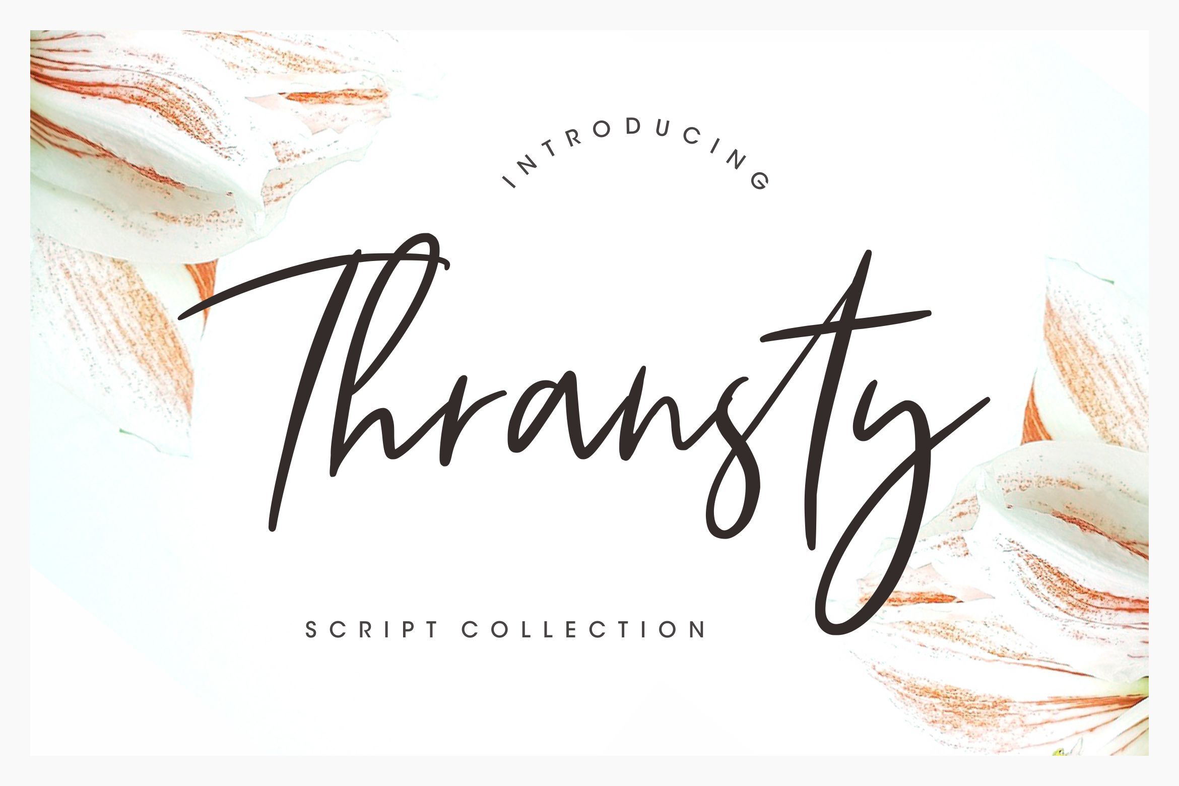 Thransty Handwritten Script By Creatype Studio Thehungryjpeg Com