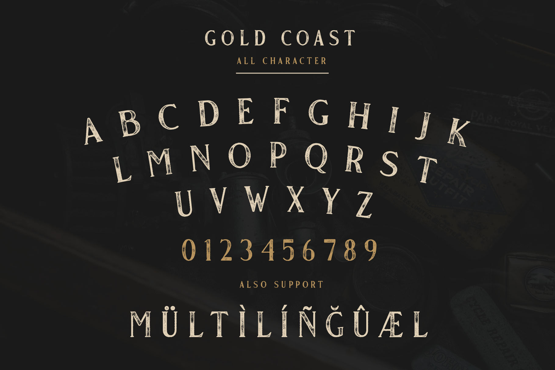 Gold Coast Vintage Serif Extras By Craft Supply Co Thehungryjpeg Com