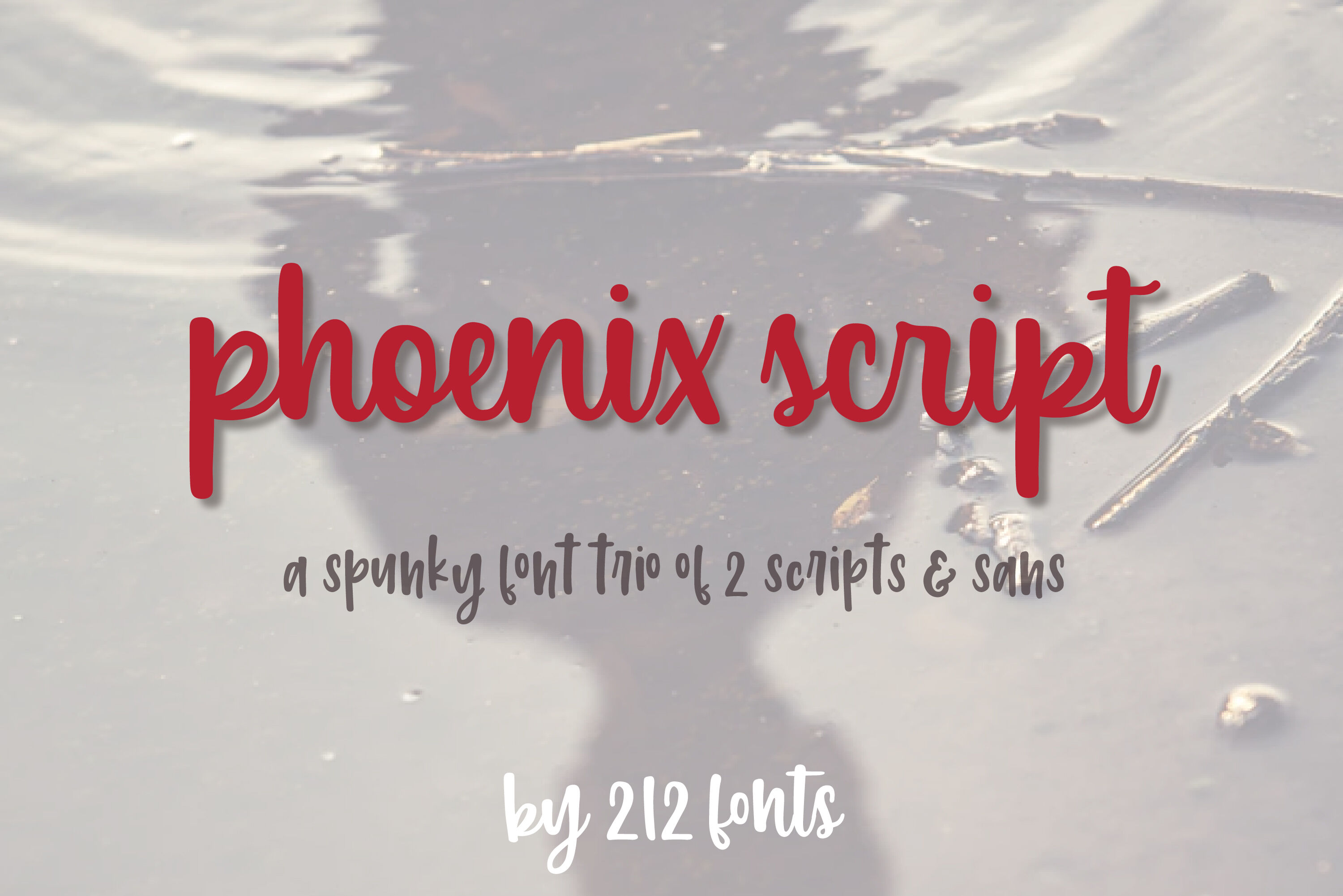 Phoenix Script Font Trio 2 Script Fonts Sans Serif And Bonus Dingbat By 212 Fonts Thehungryjpeg Com