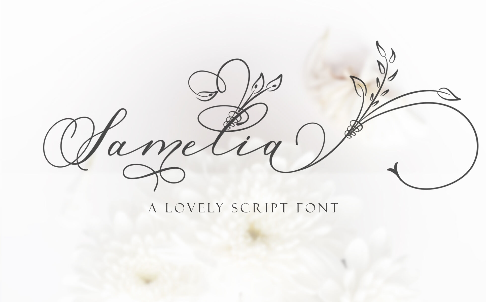 Samelia Lovely Script Font By Mdr Designs Thehungryjpeg Com