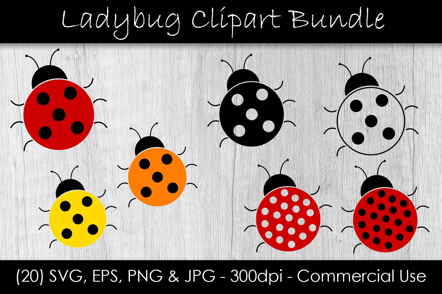 Buy Ladybug Eps Png online in USA