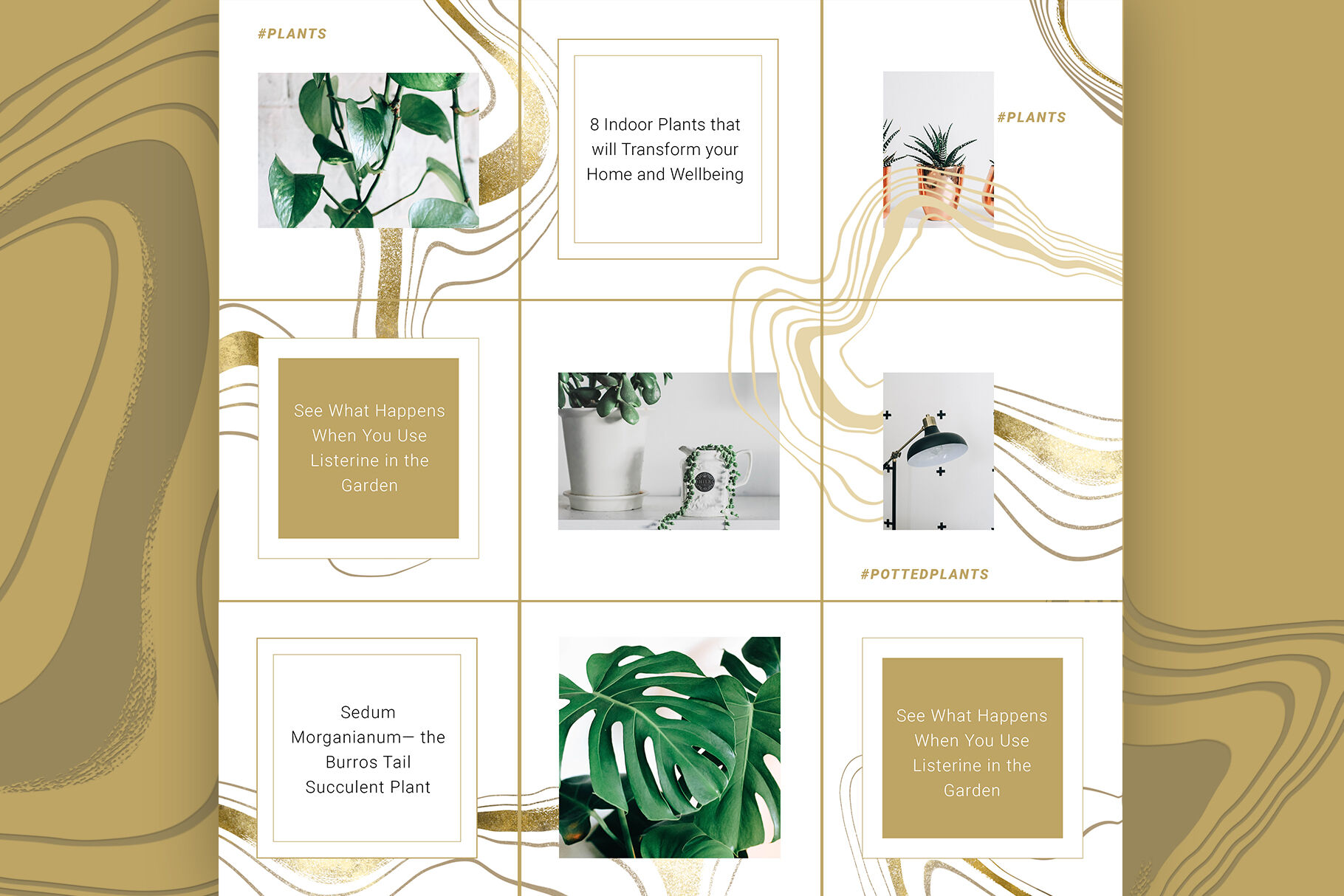 Female Business Instagram Templates By Poster Lobster Thehungryjpeg Com